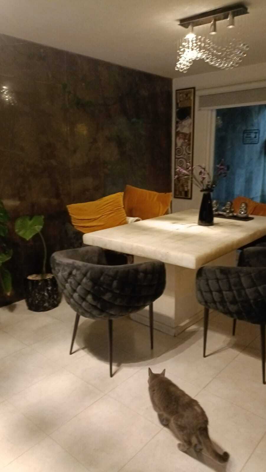 2 de 12
