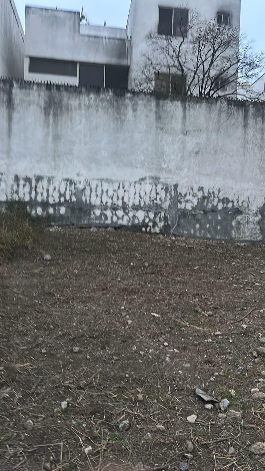 5 de 11