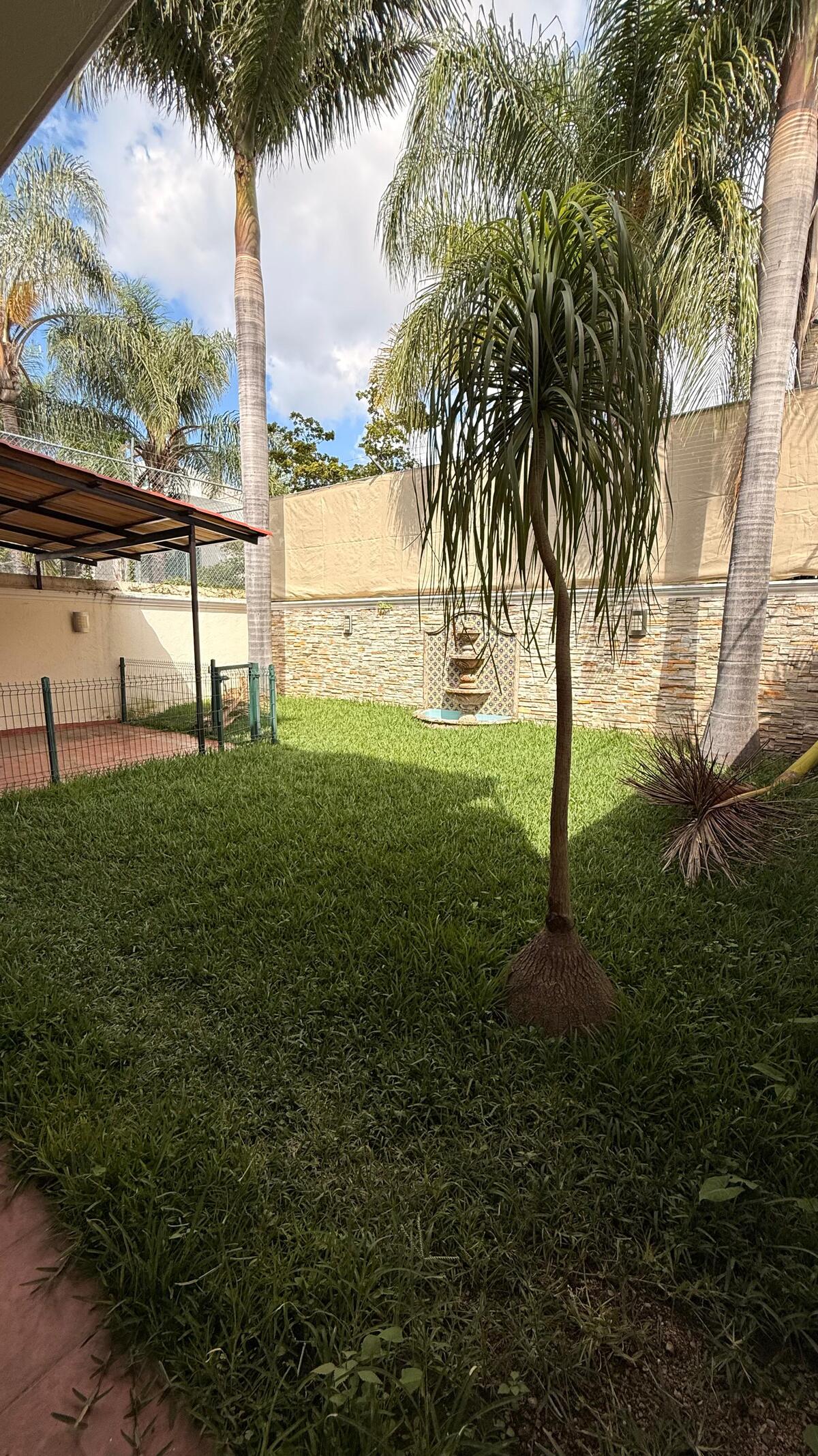 4 de 11