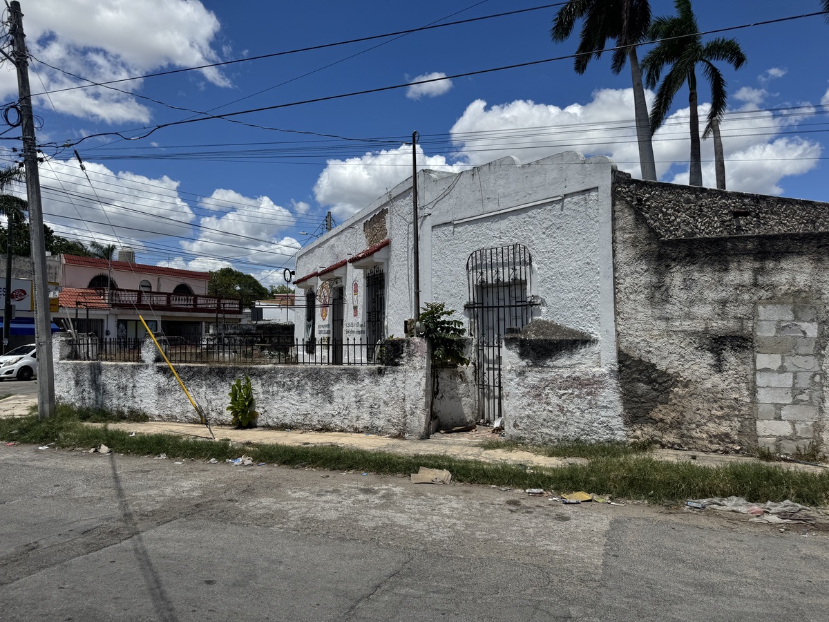 3 de 14