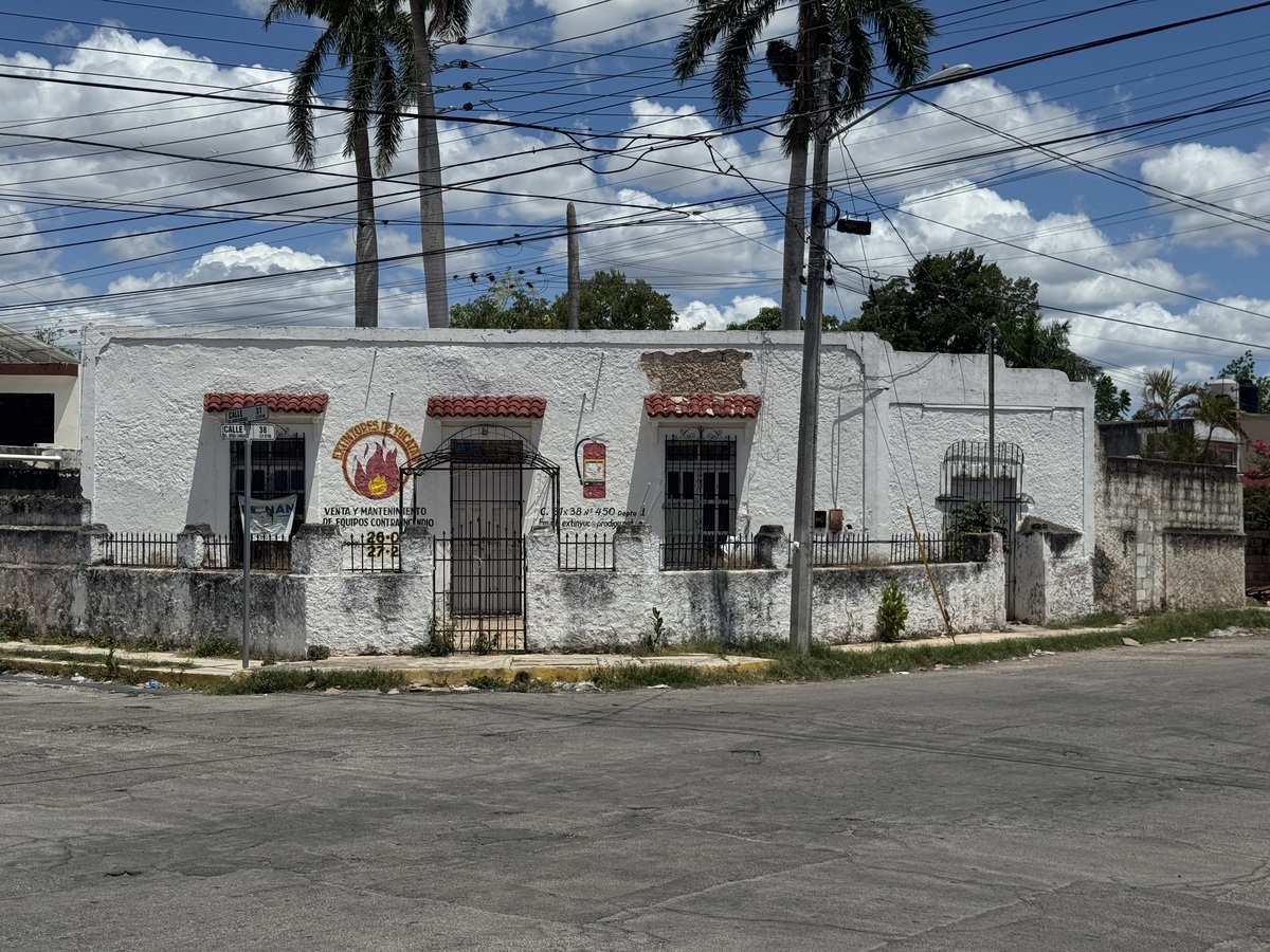4 de 14