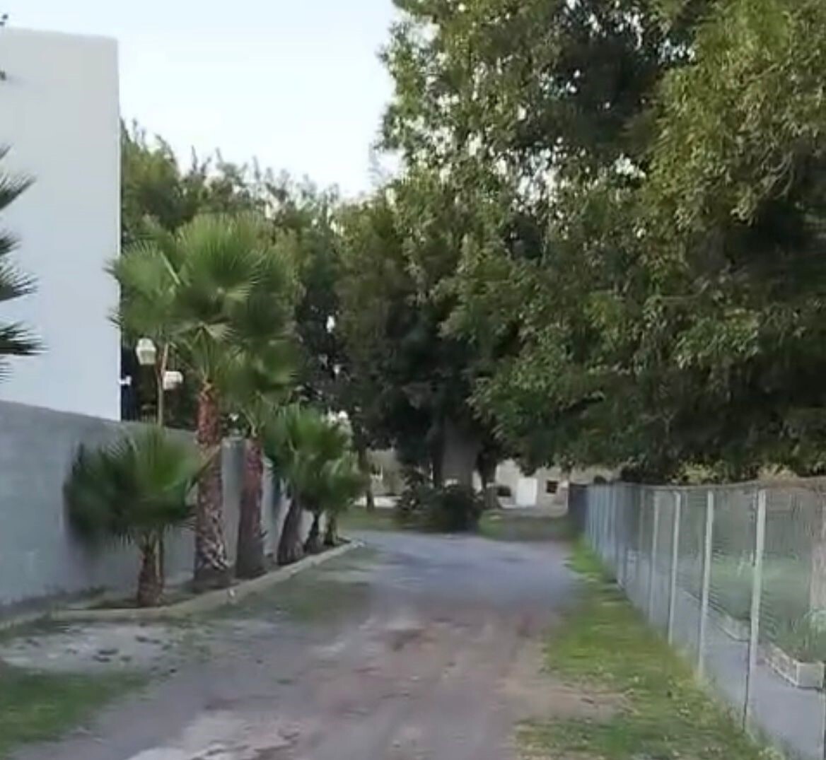 5 de 17