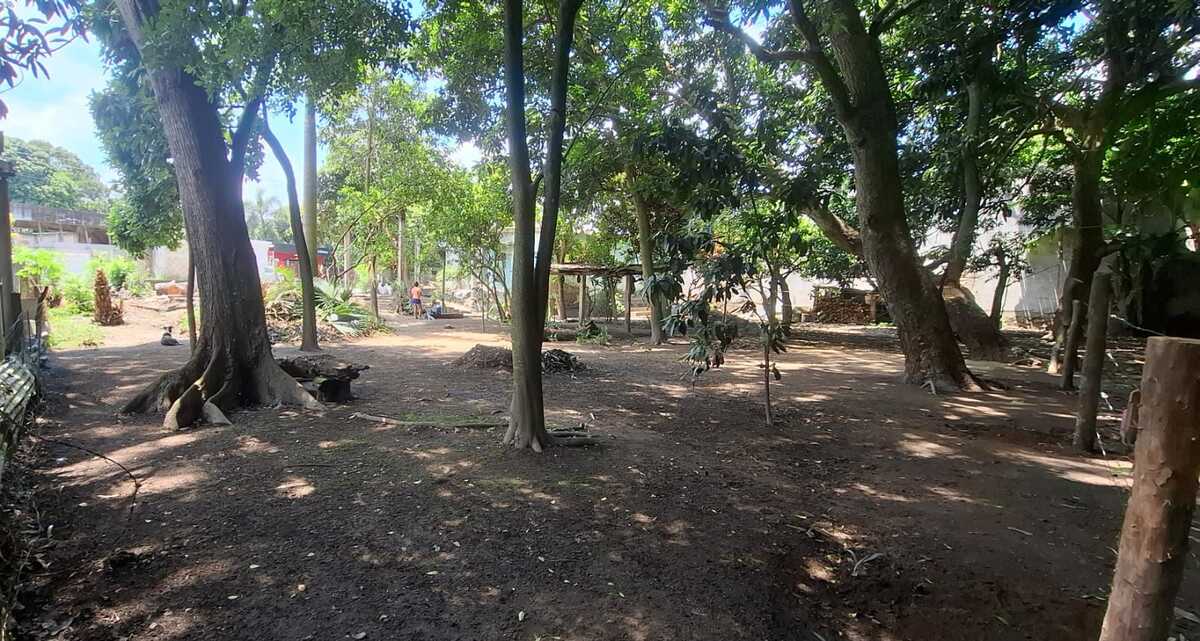 3 de 9