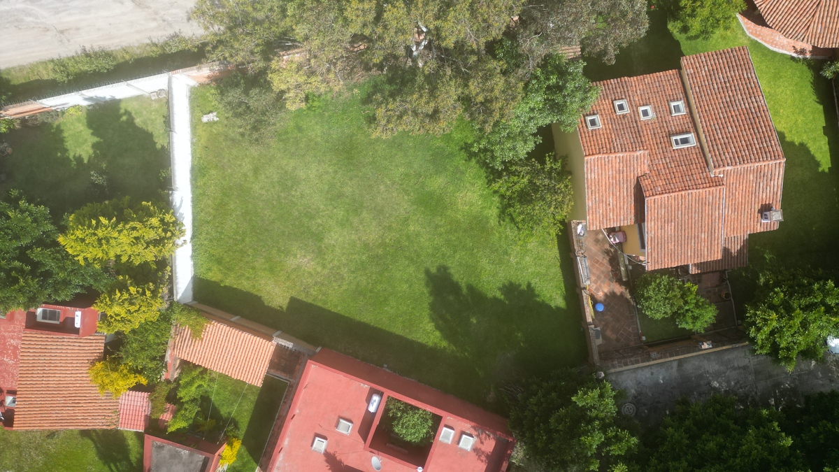 4 of 14: Lote 3