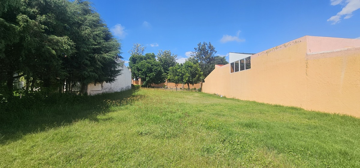 5 of 14: Lote 4