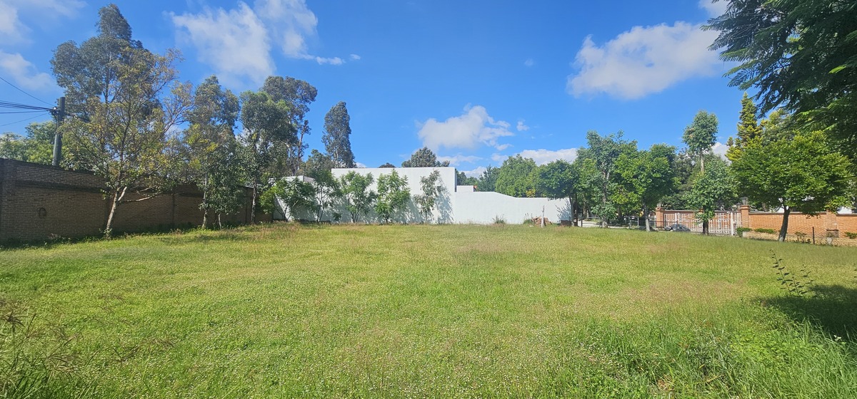 9 of 14: Lote 5 y 6