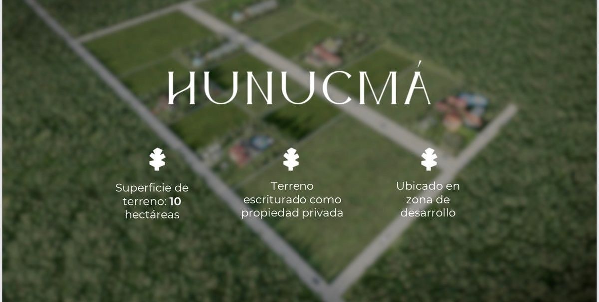 10 HECTARES À VENDA EM HUNUCMÁ | NVOT |, foto 1 de 5
