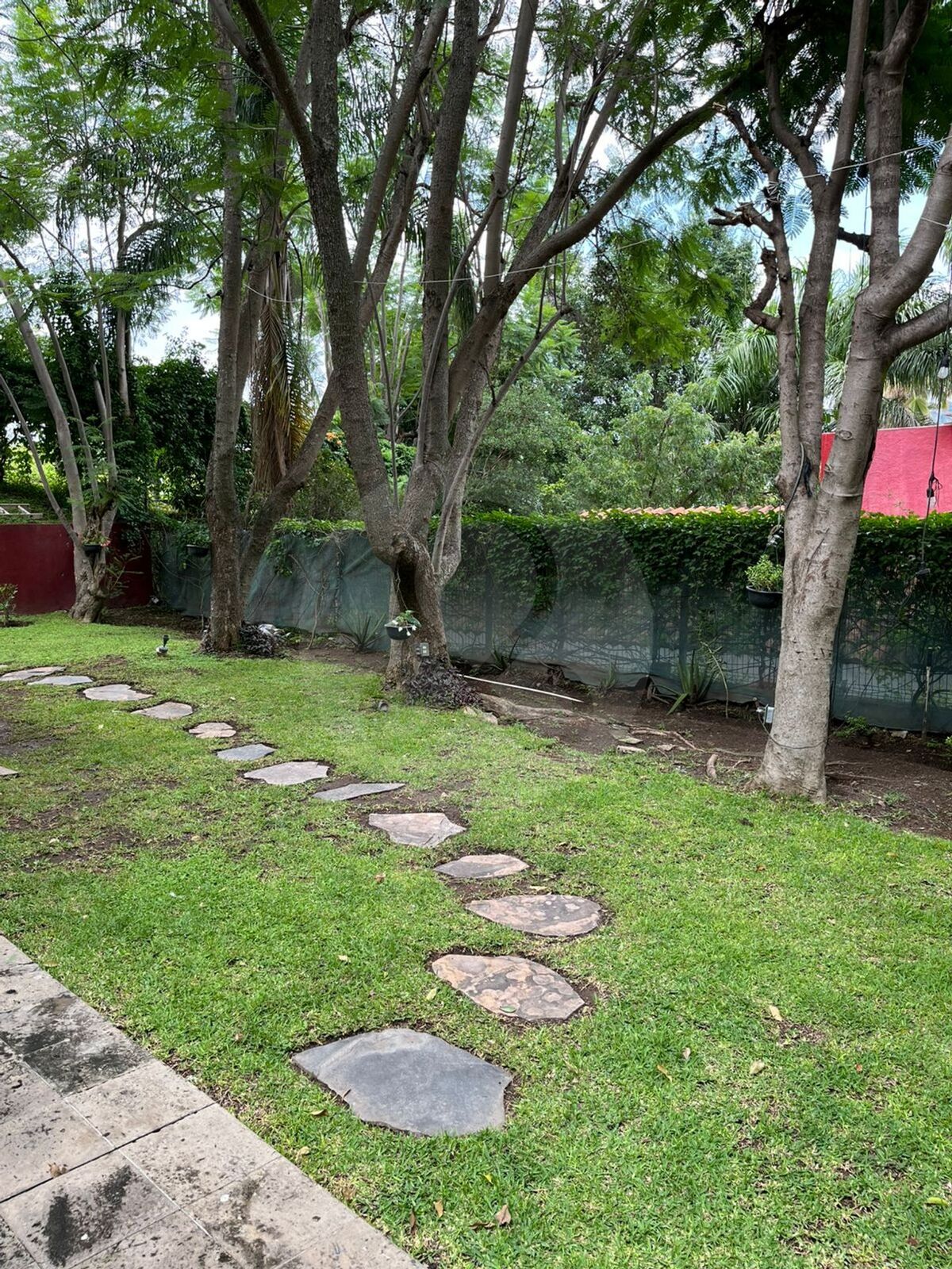 20 de 31