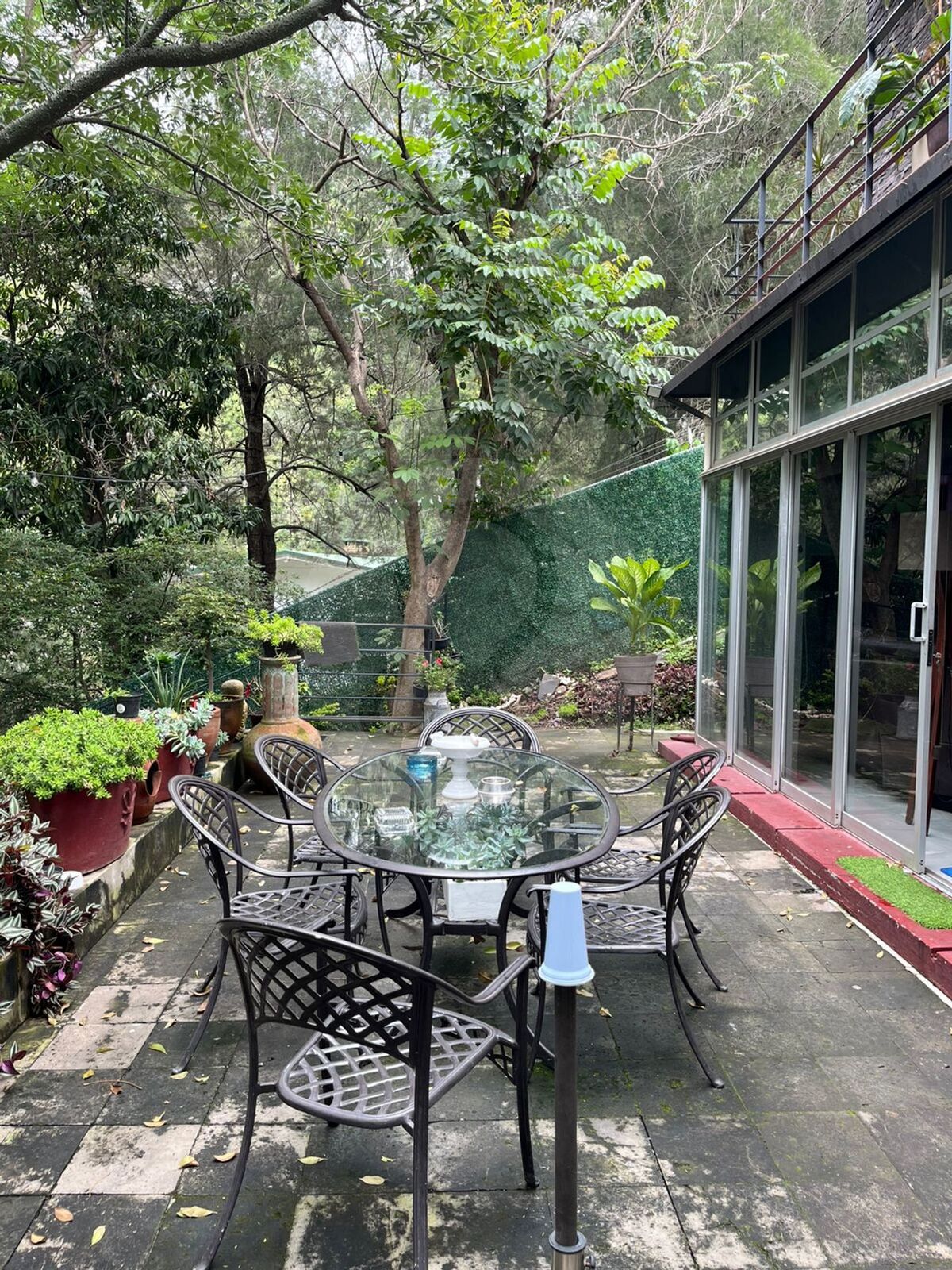 21 de 31