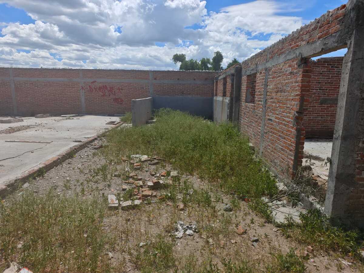 3 de 6
