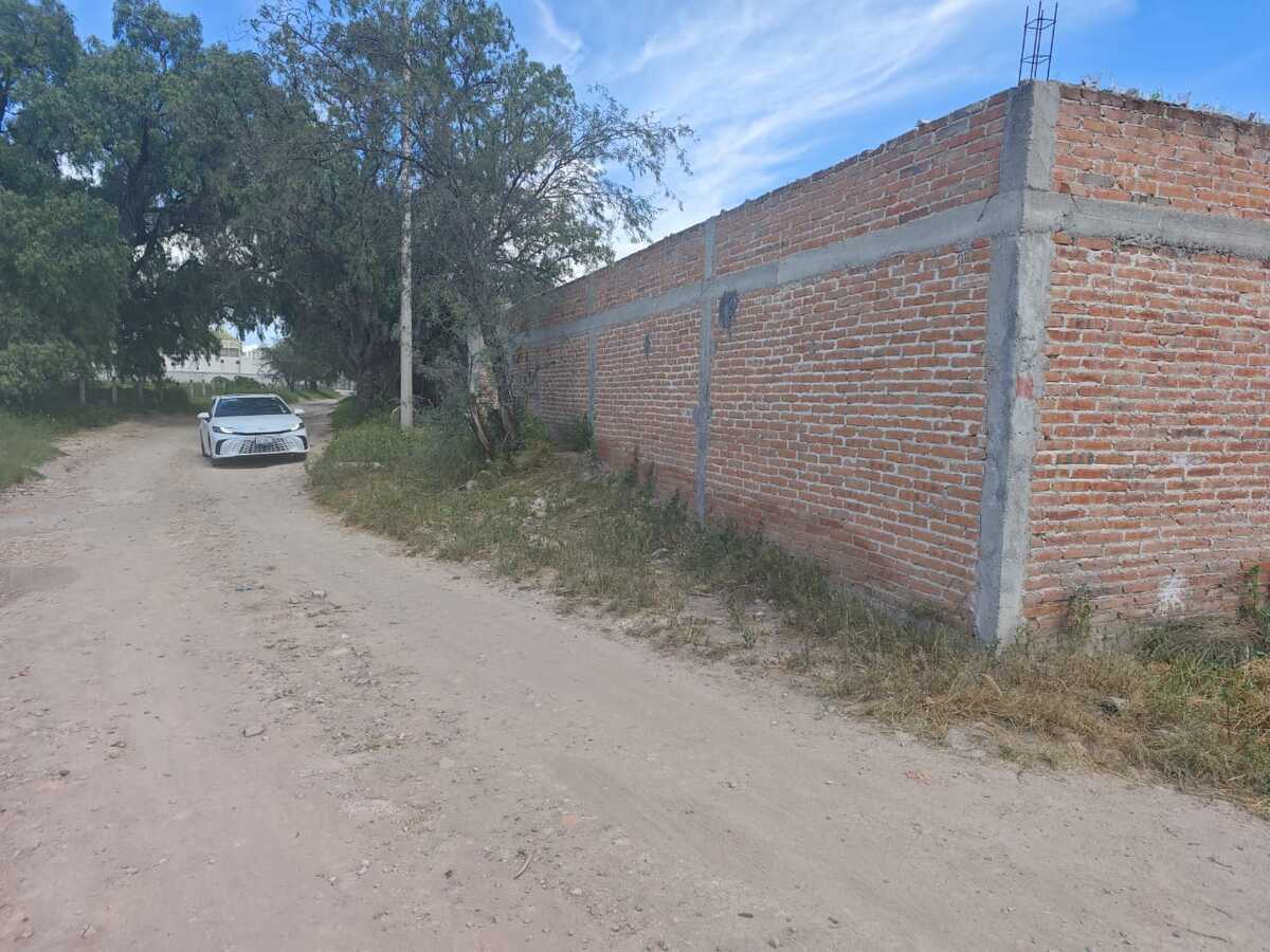 4 de 6