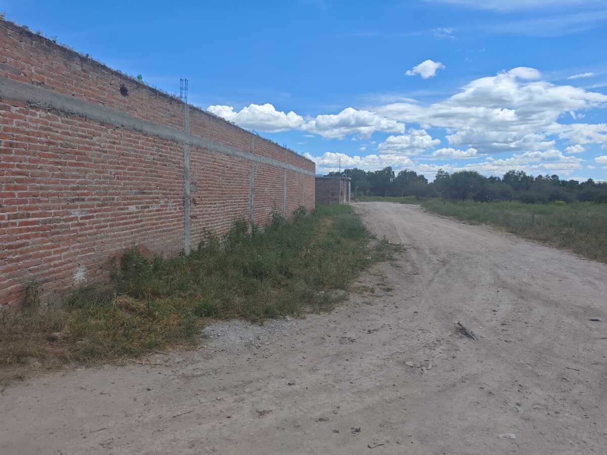 5 de 6
