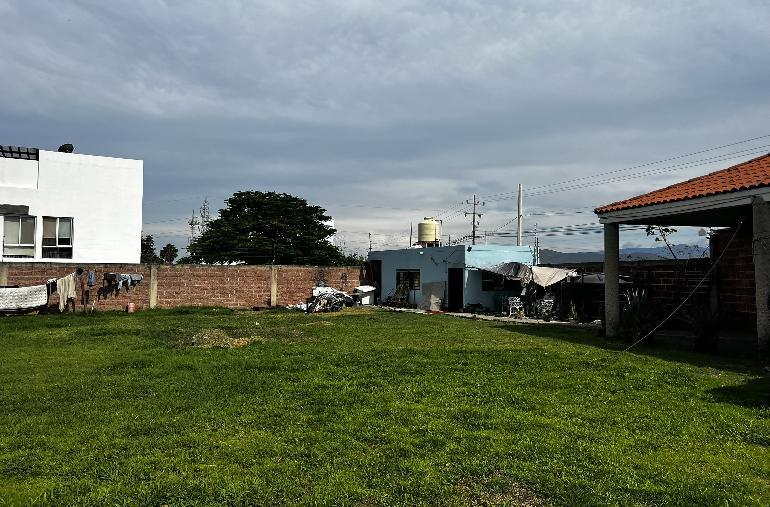 3 de 12