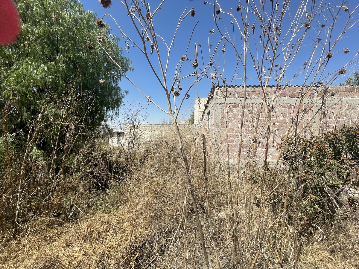 4 de 7