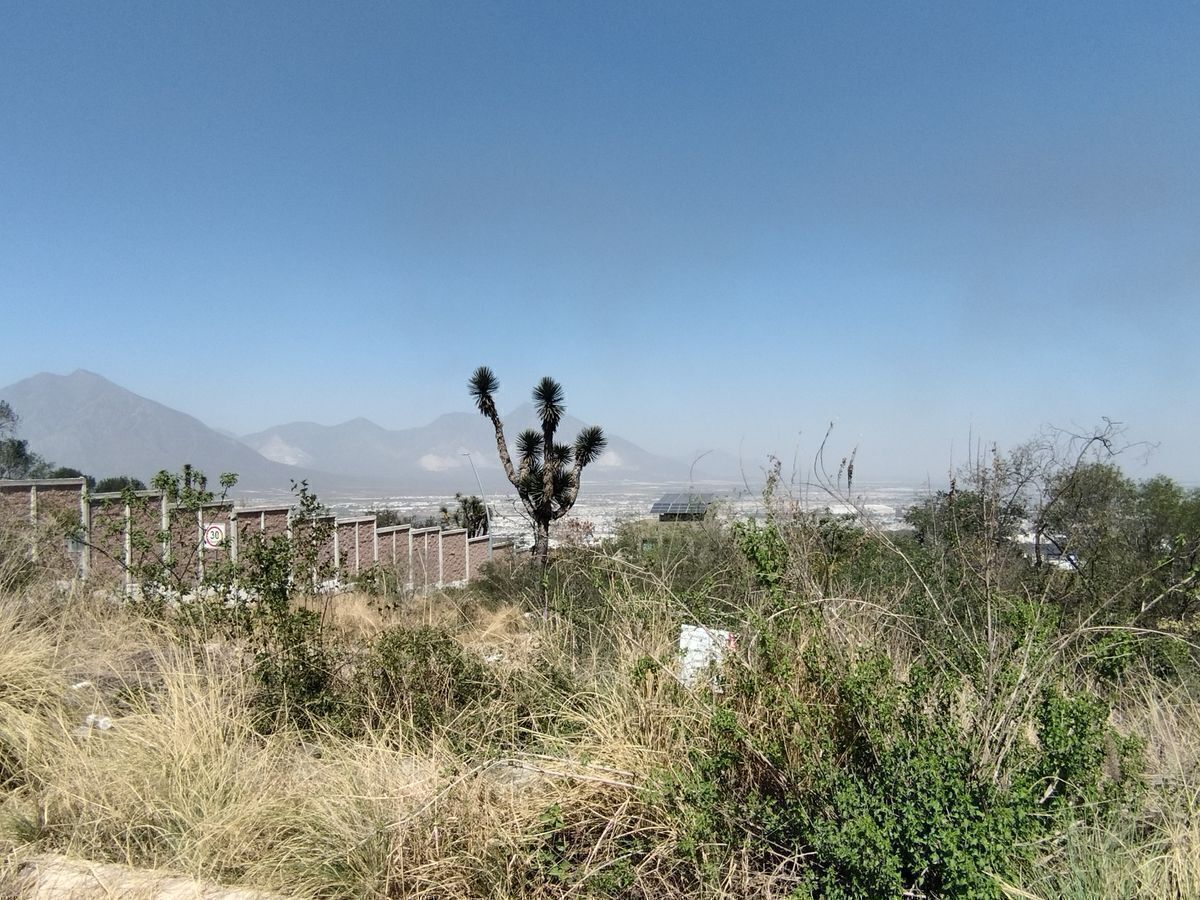 4 de 10