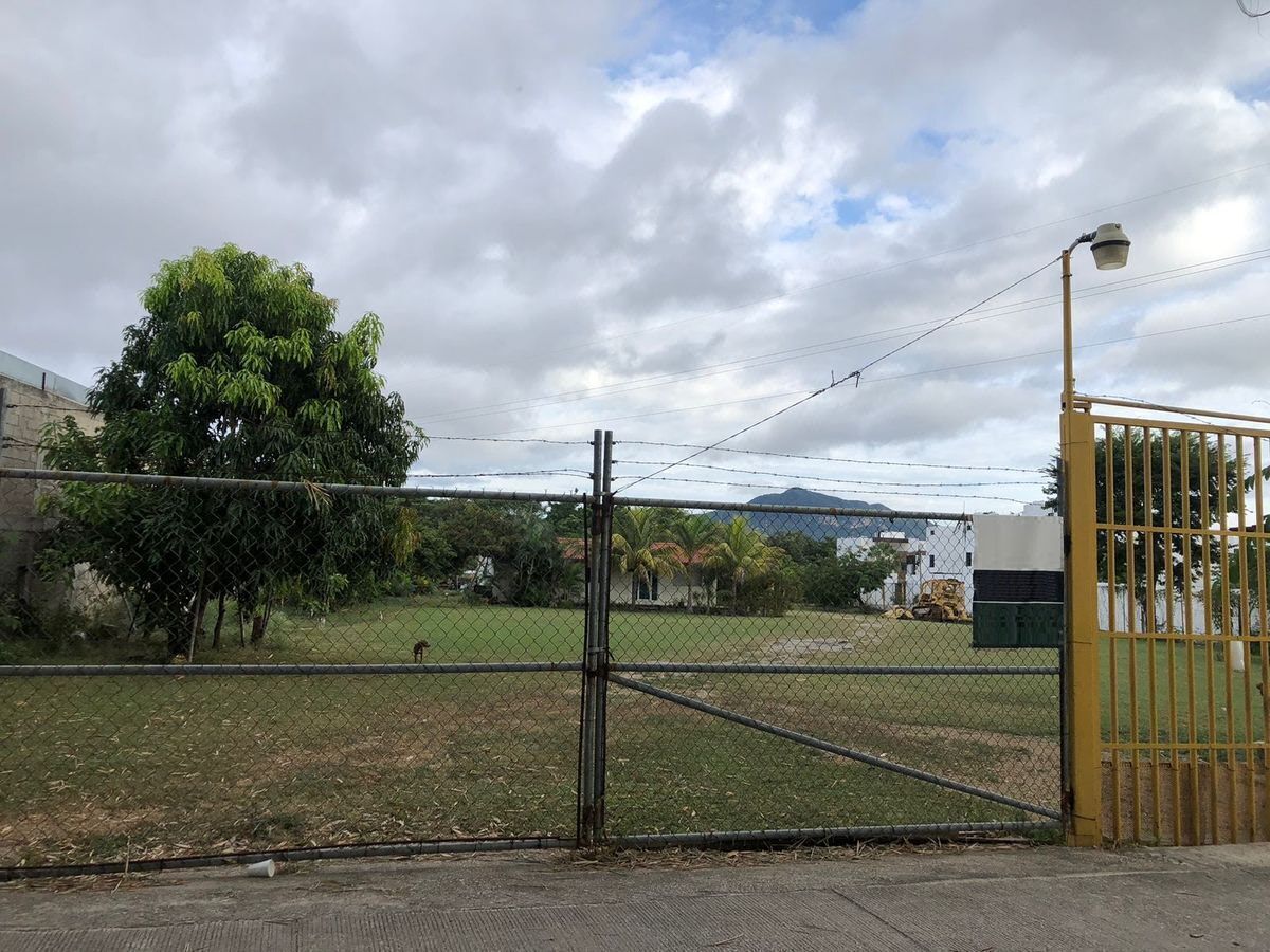 Atención inversionistas: Terreno en venta ubicado en Plan de Ayala - foto 3