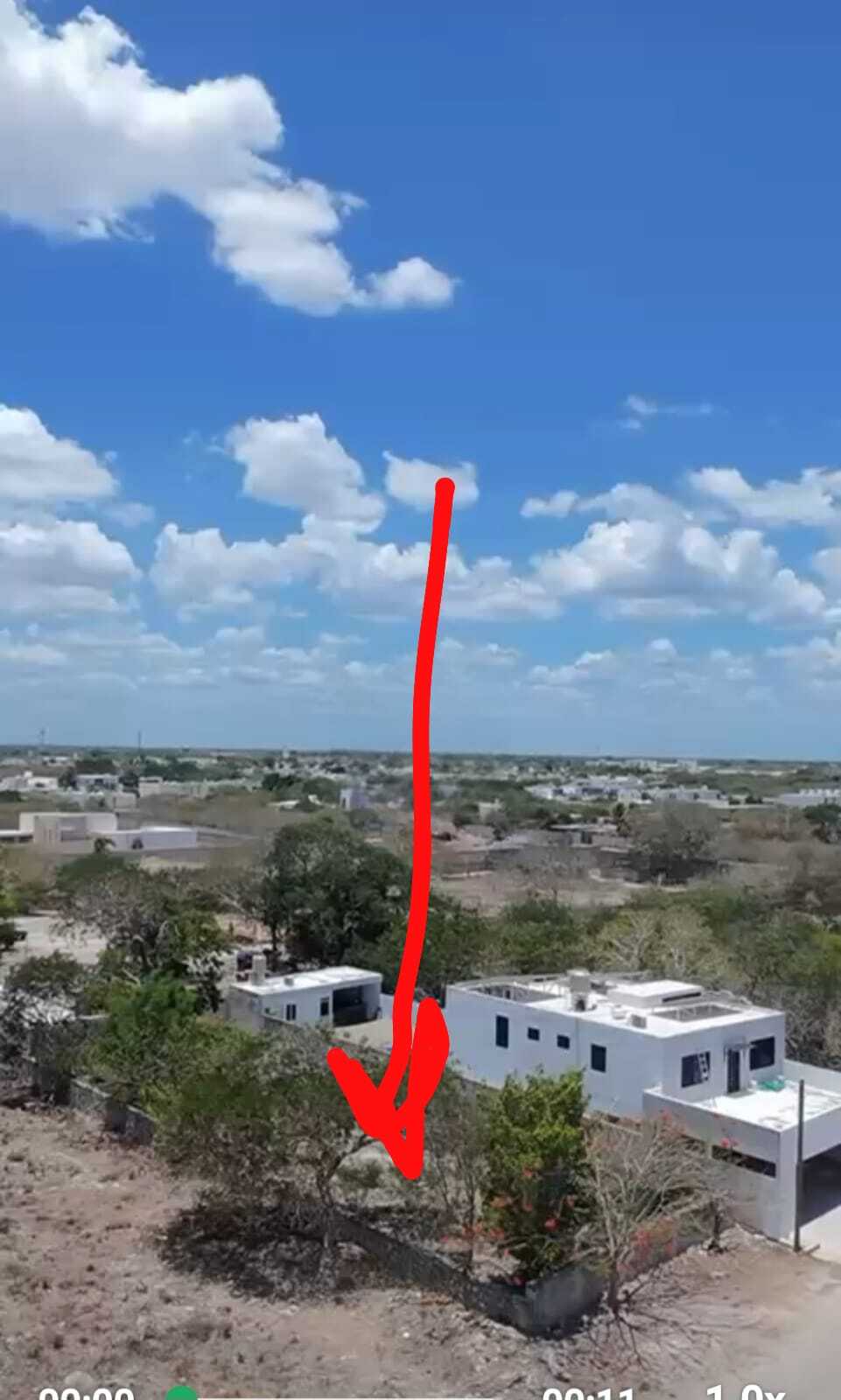 2 de 6