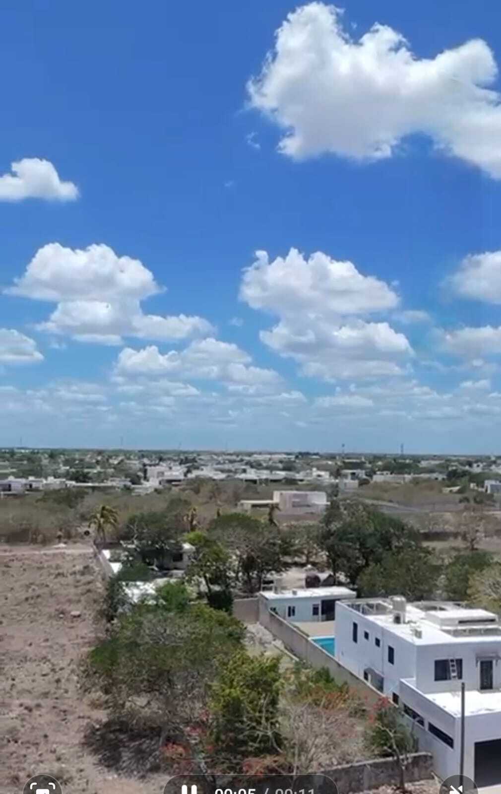 3 de 6