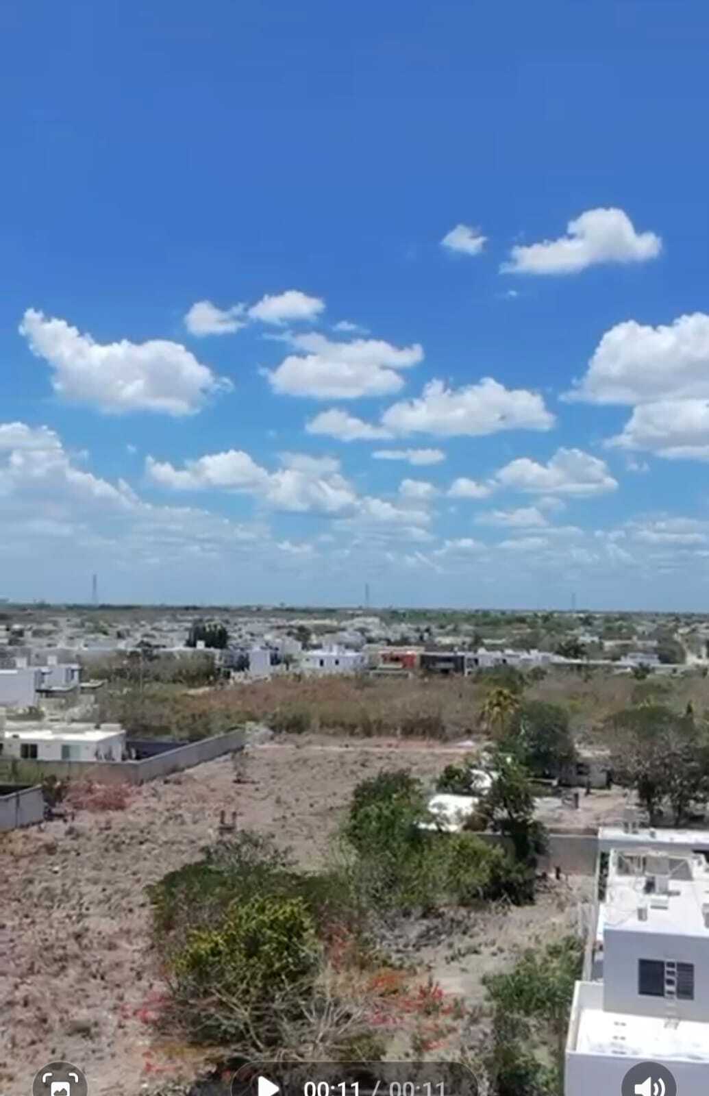5 de 6