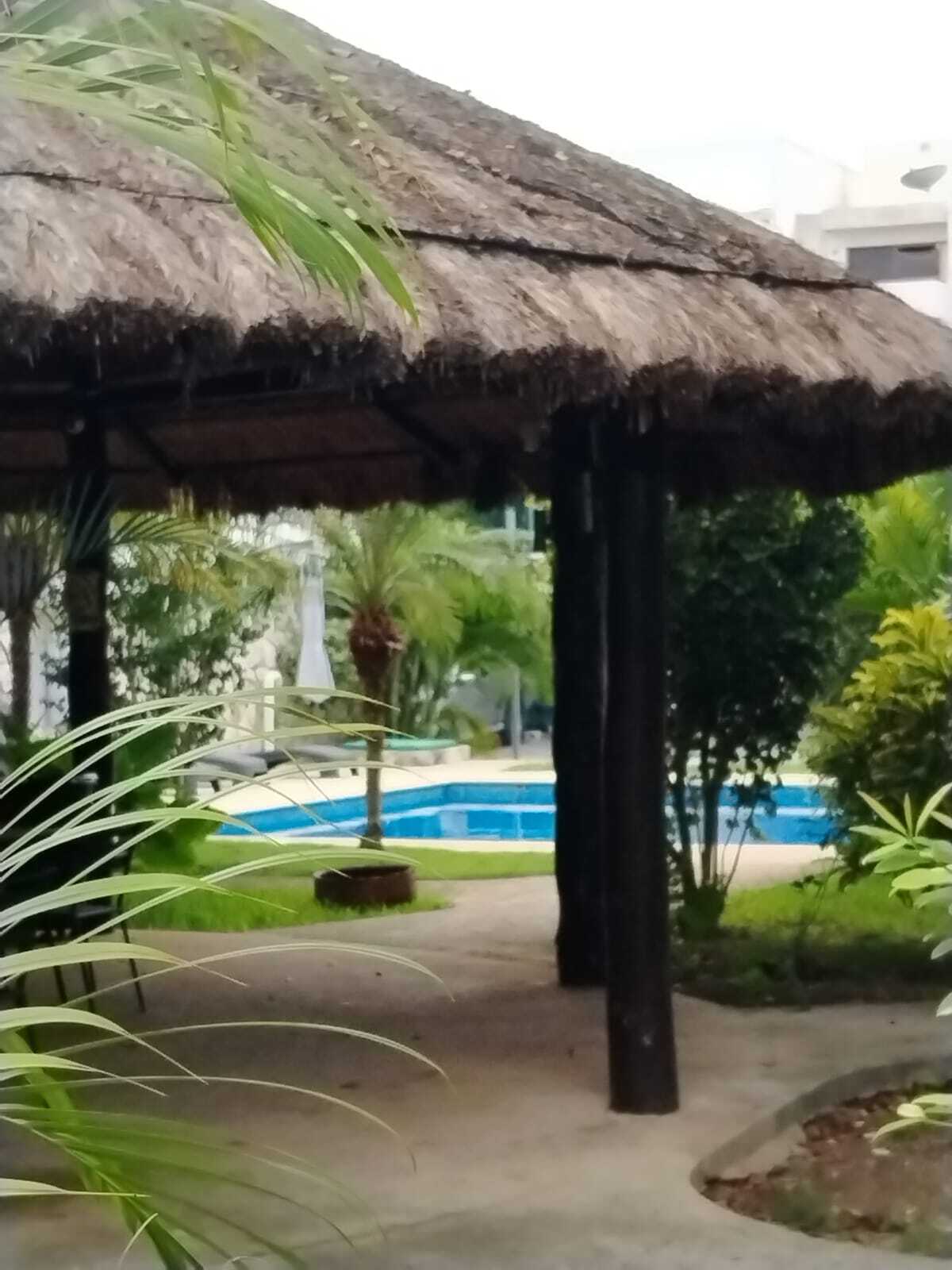 4 de 13