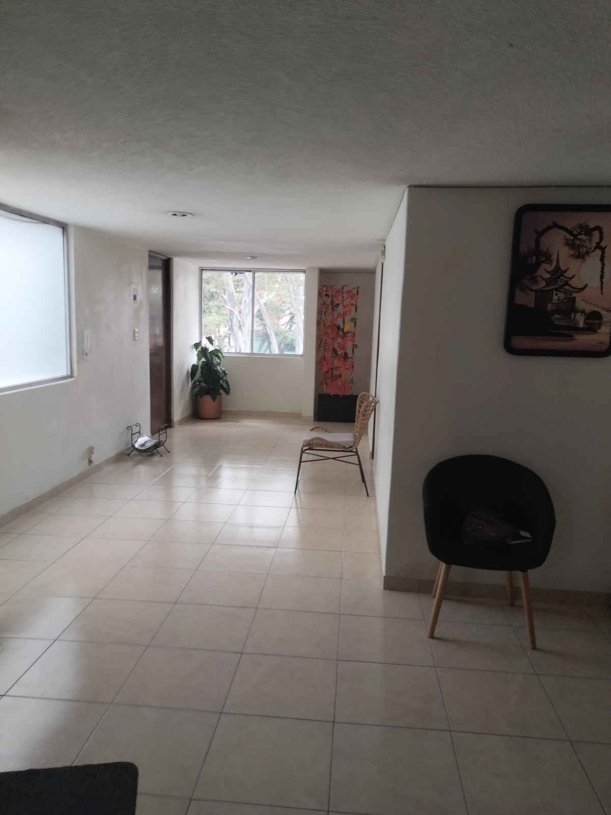 3 de 6