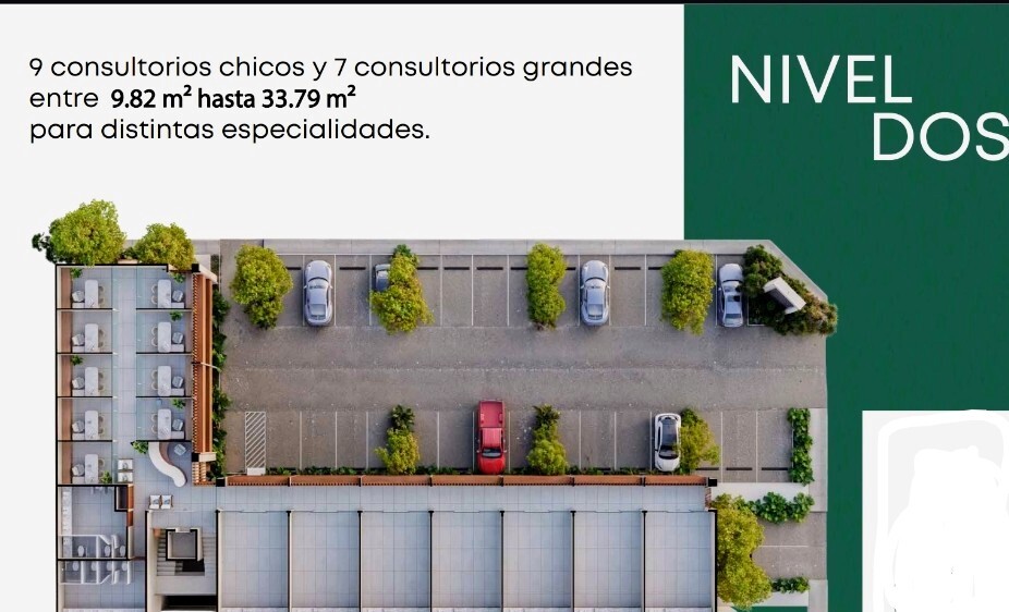 7 de 8