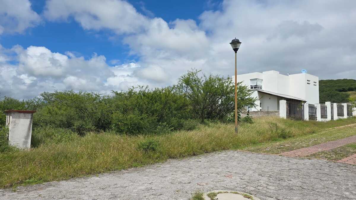 5 de 10