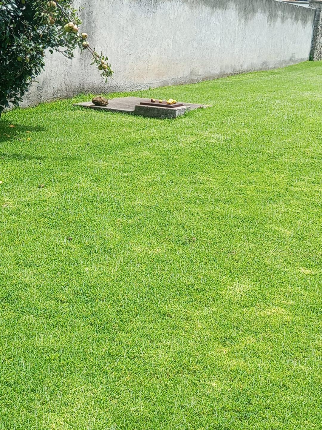 3 de 5