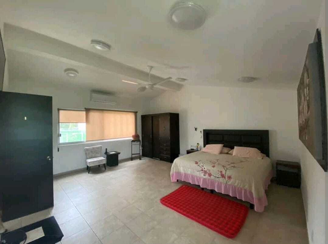 6 de 19