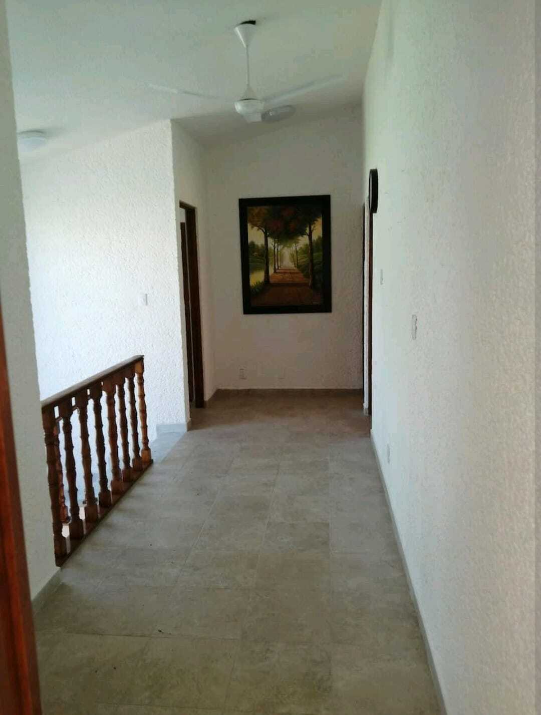 7 de 19