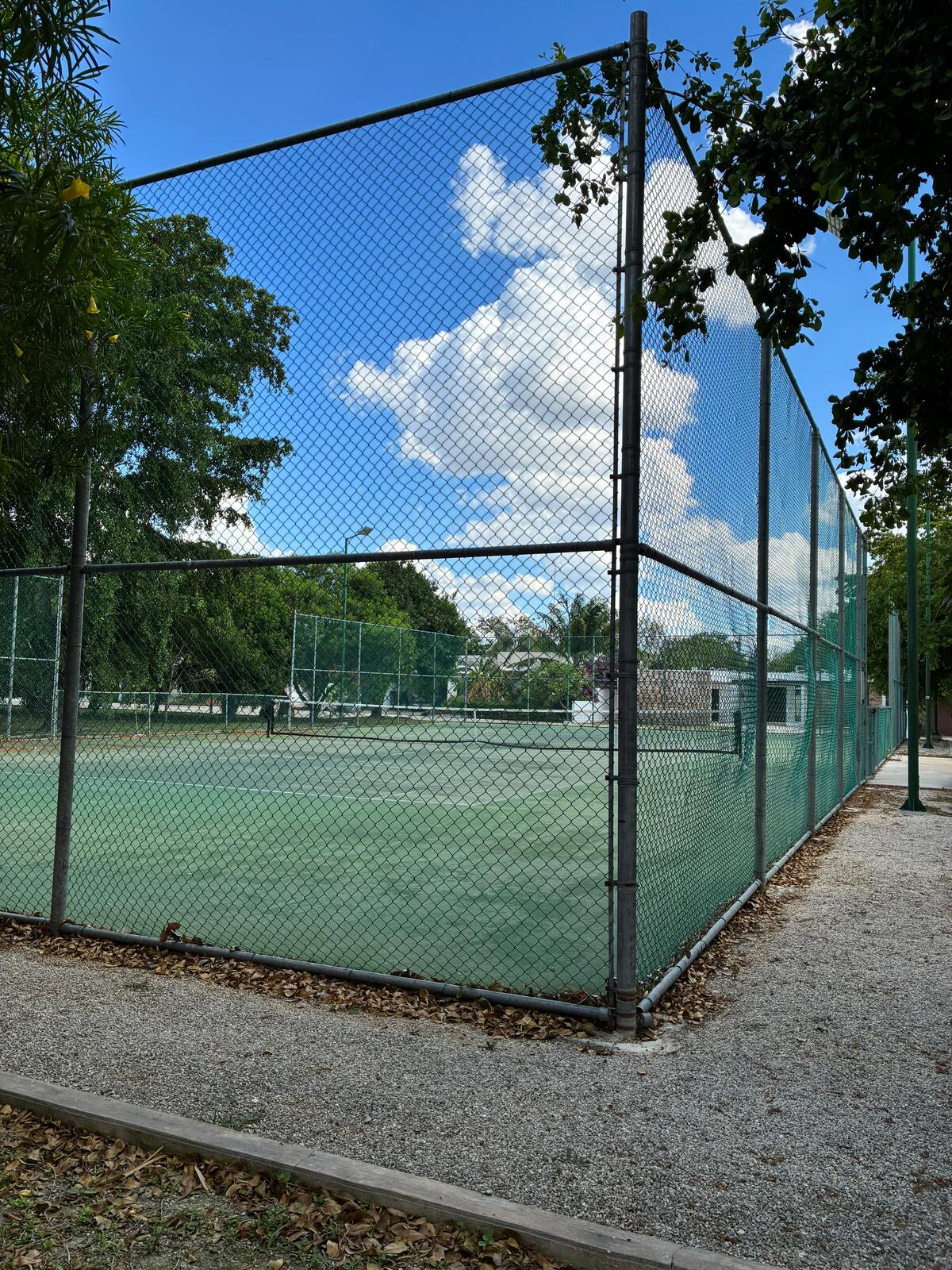 11 de 11