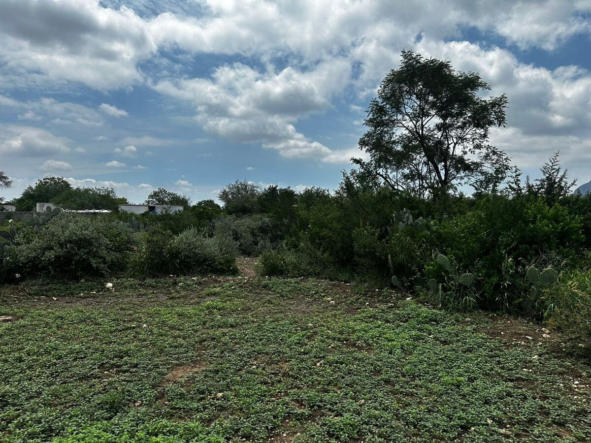 Magnífico Terreno en colonia Agropecuaria, Escobedo N. L. - foto 1