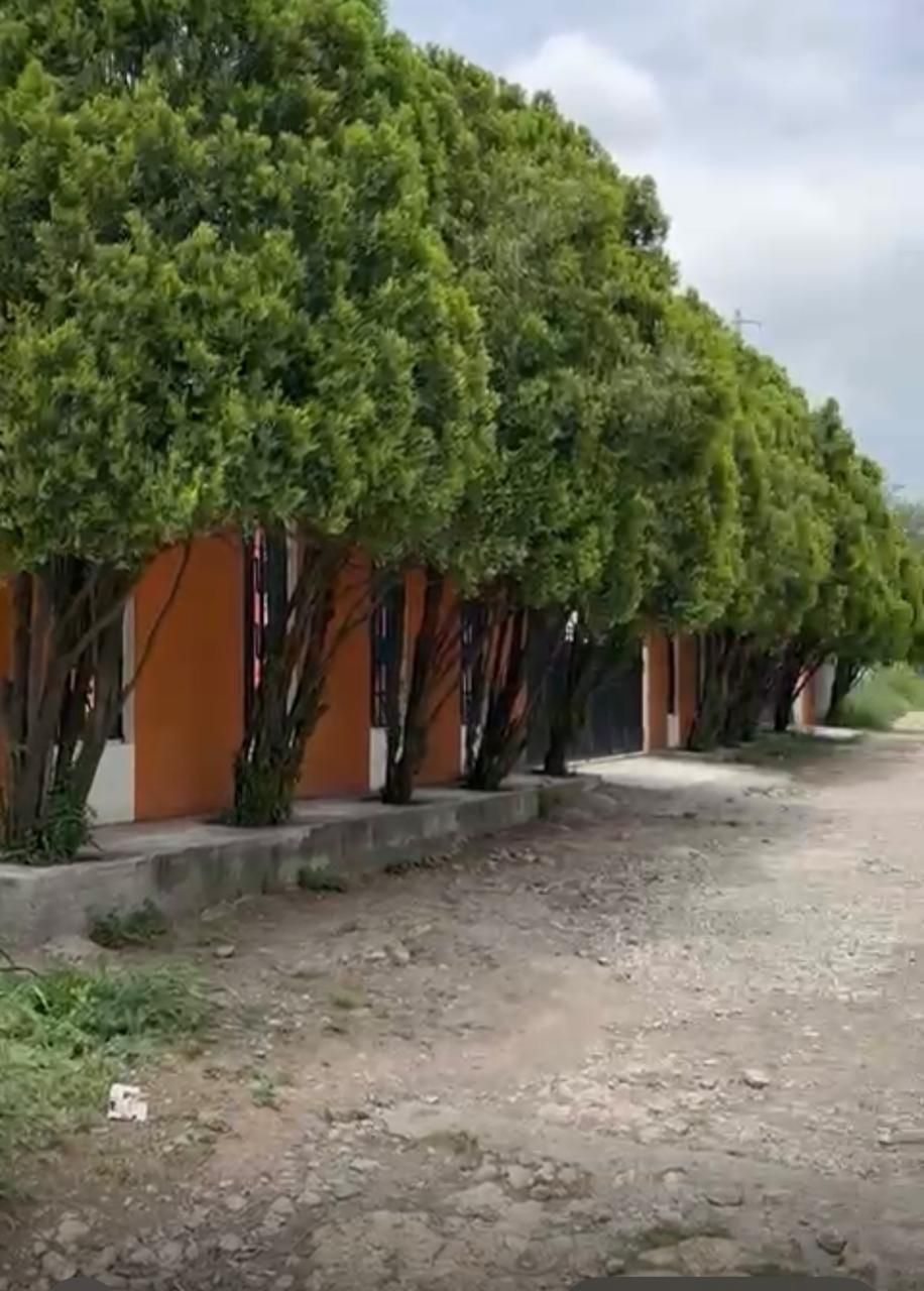 Magnífico Terreno en colonia Agropecuaria, Escobedo N. L. - foto 5