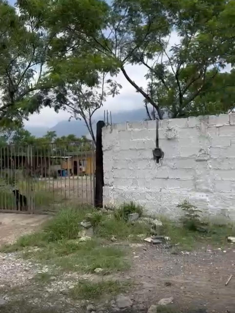 8 de 12