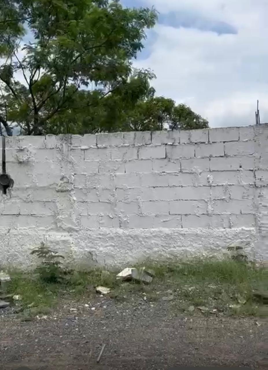 9 de 12