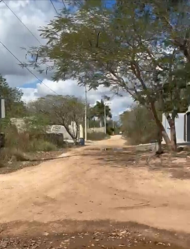 3 de 6