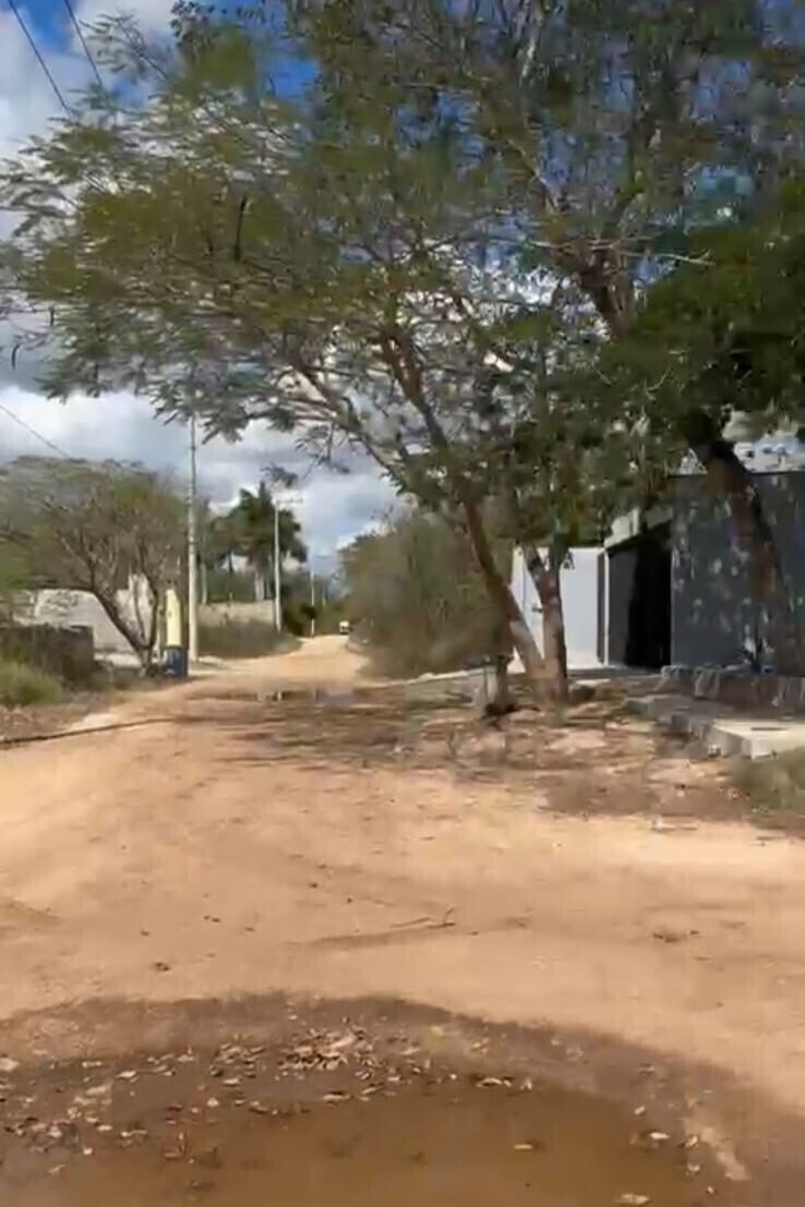 6 de 6