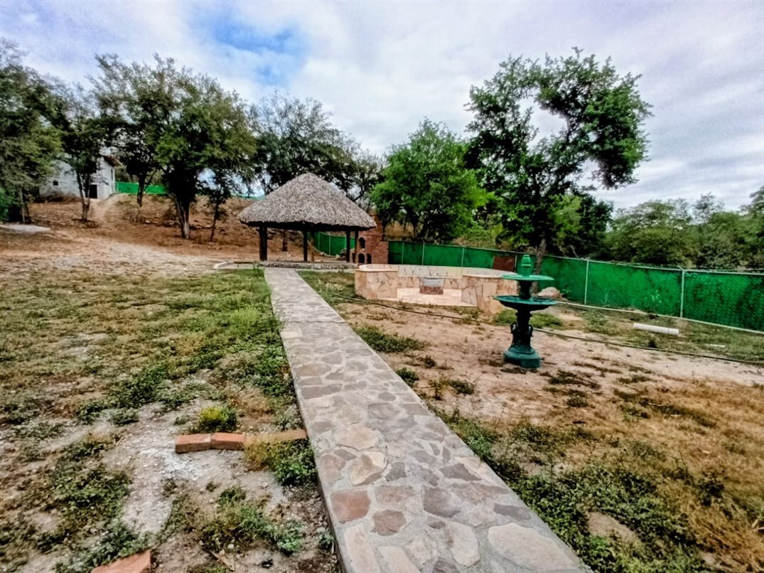 5 de 7