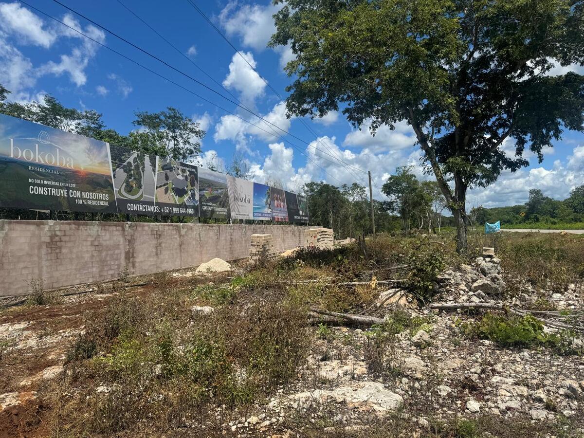 13 de 16