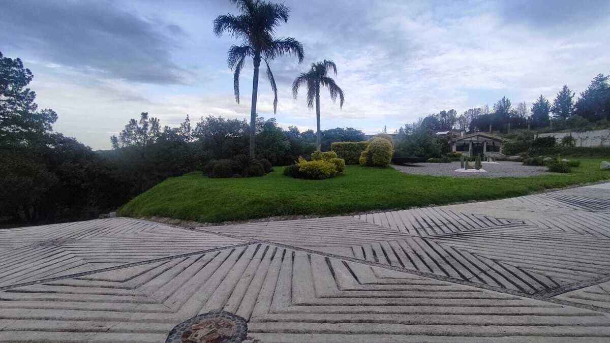 12 de 20