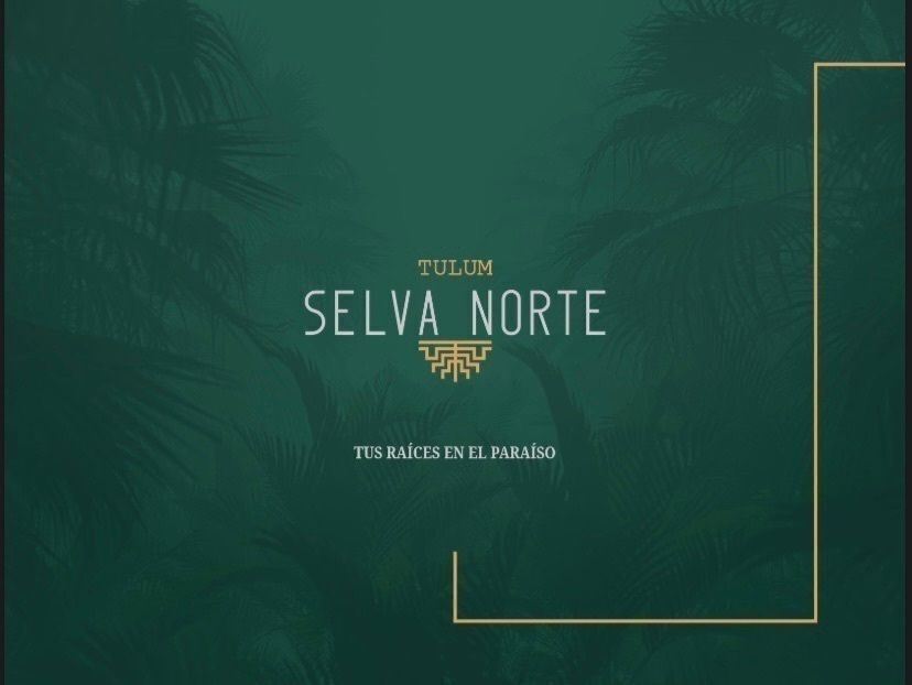 1 de 4