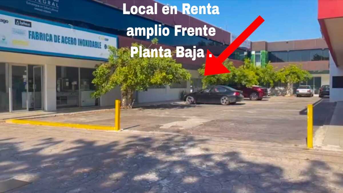 1 de 14