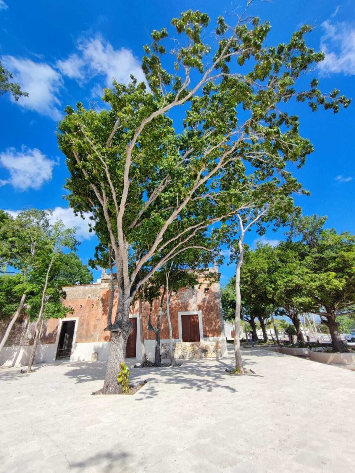 2 de 20