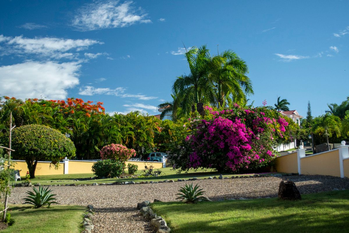 17 of 18: Front Garden 1