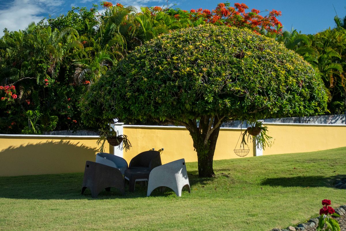 18 of 18: Front Garden 2