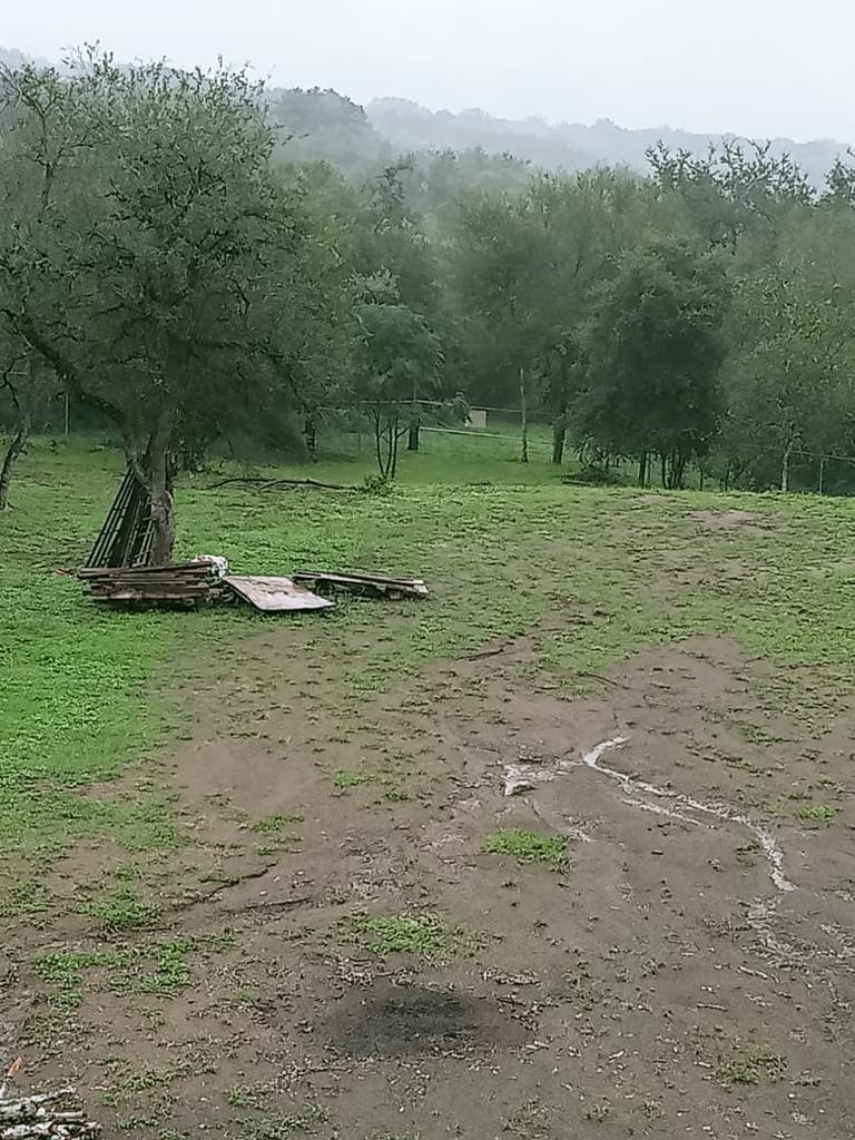 2 de 17
