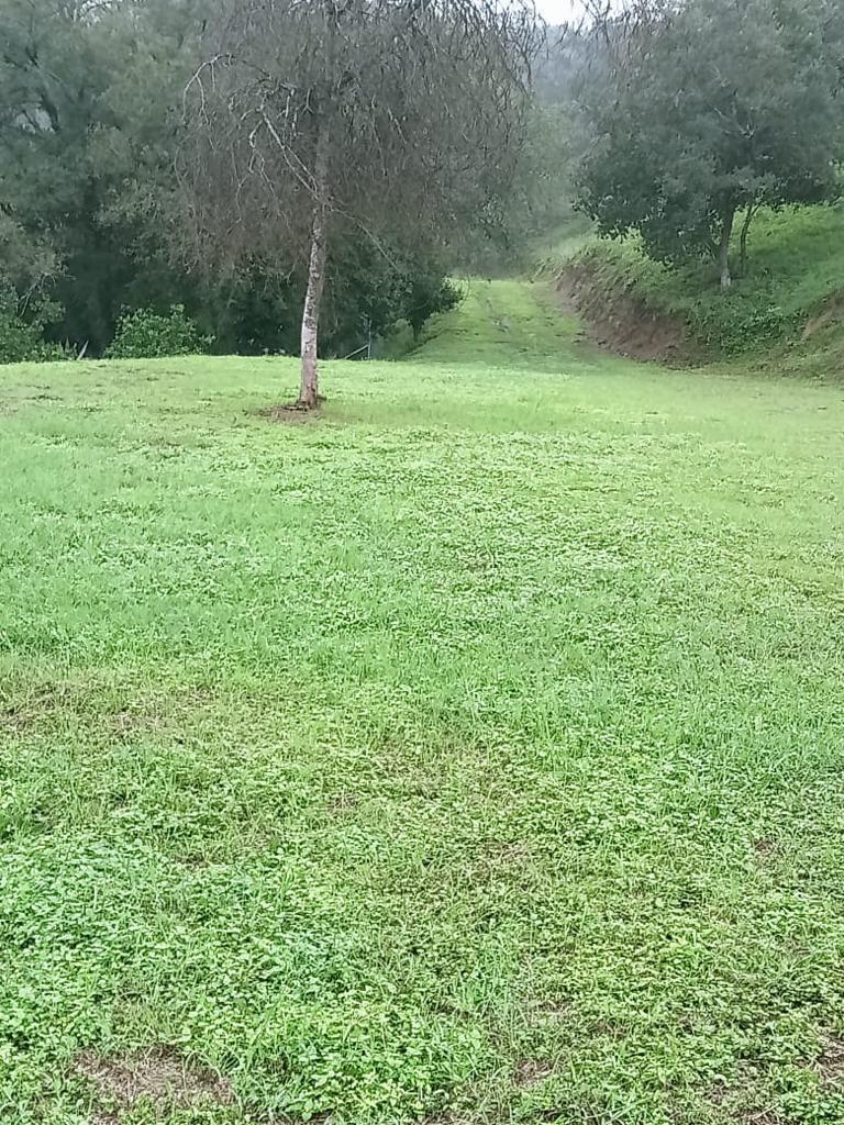3 de 17