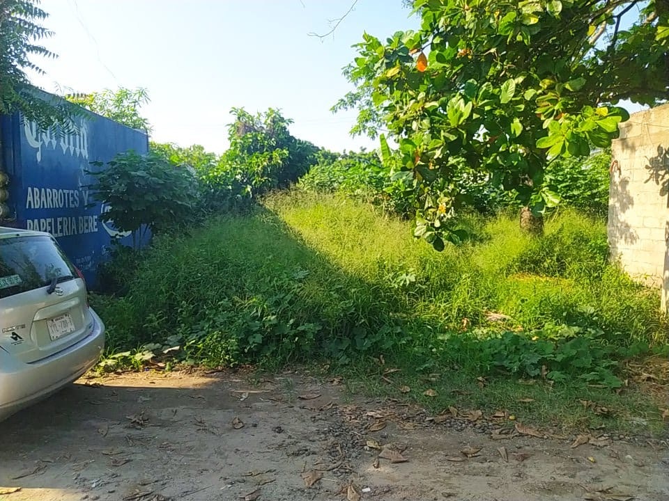 1 de 3