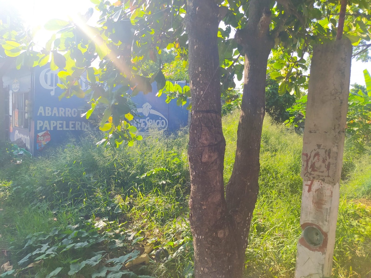 3 de 3