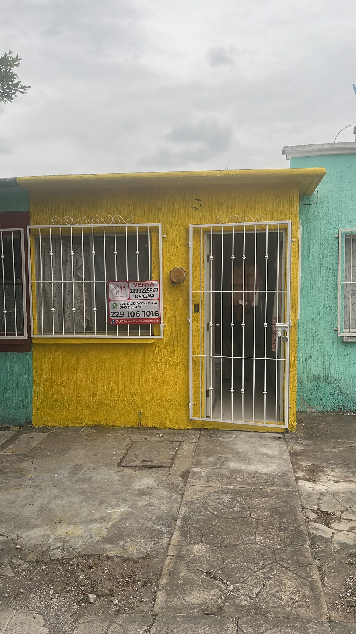 1 de 6